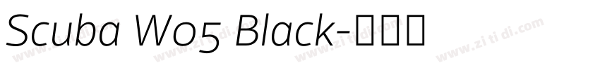 Scuba W05 Black字体转换